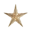 starlightz - geeta gold